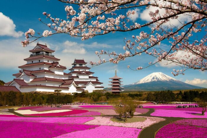 5 Lake of Fuji San